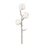 Rama decorativa SKLAVAN con frutos, blanca, 45 cm