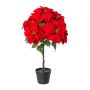 Estrella de Navidad de terciopelo DRENMA, maceta decorativa, rojo oscuro, 75 cm