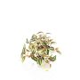 Planta artificial Tradescantia zebrina DIHALLU en maceta decorativa, verde-roja, 19 cm
