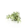 Planta artificial de pimienta enana MIHALLA en maceta decorativa, verde y blanca, 19 cm