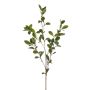 Rama decorativa espino cerval LOVRIS con flores, verde-amarillo, 90 cm