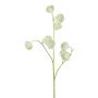 Rama artificial de clemátide VITRAL, verde y blanco, 55 cm