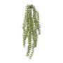 Colgante artificial Columnea JALHER, varilla, verde, 60 cm