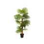 Palmera artificial Livistona rotundifolia GHADA, 130 cm