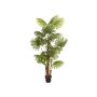 Palmera falsa Livistona rotundifolia Trio GHADA, 165 cm