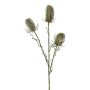 Rama de flores artificiales de cardo silvestre BLOVEN, verde, 60 cm