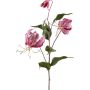 Rama decorativa Gloriosa LISUPY, rosa oscuro-dorado, 80 cm