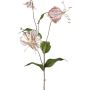 Rama decorativa Gloriosa LISUPY, beige-dorado, 80 cm