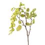 Rama artificial de saúco MITRON, bayas, verde, 80 cm