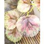 Planta artificial coleo WOLINDA, maceta decorativa, colgante, verde-rosa, 16 cm