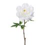 Flor artificial de peonía GLOUT, blanca, 65 cm