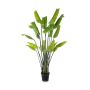Planta artificial Strelitzia OMBRA, verde, 200 cm