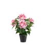 Hortensia artificial DORJA en maceta decorativa, rosa, 40 cm