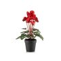 Ciclamen artificial VERIANA en maceta decorativa, rojo, 30 cm