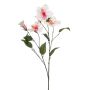 Rama decorativa de hibisco TRUGEN con flores, blanco-rosa, 85 cm