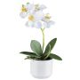 Orquídea Phalaenopsis de tela WERKAN, maceta de cerámica, raíces, blanca, 27 cm