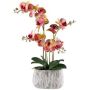 Orquídea Phalaenopsis artificial BLORVEN, cuenco de cemento, raíces, amarillo-rosa, 55 cm
