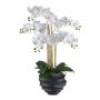 Orquídea Phalaenopsis artificial STONFER, maceta decorativa negra, raíces, blanca, 70 cm