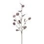 Rama artificial de eucalipto TRAVON con frutos, berenjena, 75 cm