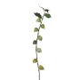 Rama decorativa de physalis BROLE con frutos, verde claro, 95 cm