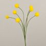 Craspedia Globosa artificial STEPHANOS, amarillo, 60cm, Ø2,5-3cm