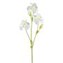 Rama decorativa de iris KLAVO, blanca, 80 cm