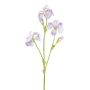 Rama decorativa de iris KLAVO, lila, 80 cm