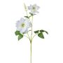 Rama de flores artificiales de clemátide ZOLME, blanca, 70 cm