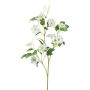 Rama de flores artificiales clemátide ZOLME, blanca, 115 cm