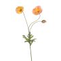 Rama decorativa de amapola SCHUNRA, melocotón, 75 cm