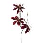 Gloriosa de terciopelo ZORHAN, rojo burdeos, 70 cm