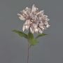 Dalia de terciopelo MINBU, beige-rosa, 60cm, Ø18cm