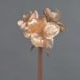 Amaryllis de terciopelo KIRSTY, salmón, 70cm, Ø9cm