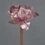 Amaryllis de terciopelo KIRSTY, rosa antiguo, 70cm, Ø9cm
