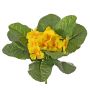 Prímula artificial SUNDARA en varilla de ajuste, amarillo, 20cm, Ø4cm