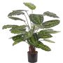 Calathea Medaillon artificial KUMARA, verde, 75cm