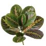 Maranta artificial DELIAN en varilla de ajuste, verde, 30cm