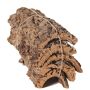 Piezas de corteza de corcho natural DIANTHA, 5 piezas, marrón, 50x25cm