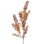 Rama de rusco artificial ELENIE, marrón-naranja, 95cm