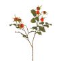 Rama de rosa silvestre artificial FILONAS con frutos, naranja-rojo, 60cm