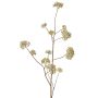 Viburnum de plástico GALAXINA, crema, 120cm, Ø4-9cm
