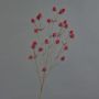 Cardo de plástico LOUKAS, rojo, 70cm, Ø1,5cm