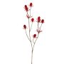 Cardo de plástico LOUKAS, rojo, 45cm, Ø1,5cm