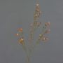 Flor de cera artificial NIANG, naranja-rojo, 80cm, Ø2-3cm