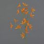 Tweedia solanoides artificial PALLAS, naranja, 75cm, Ø5cm