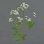 Eupatorium artificial KORALIA, crema, 80cm