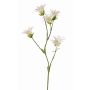 Clavel japonés artificial KASTALIA, crema, 65cm, Ø4-5cm