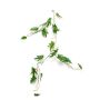 Guirnalda artificial de filodendro Selloum MATAS, 110cm