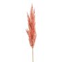 Panícula de hierba de la pampa artificial SIWON, malva, 90cm