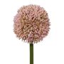 Flor decorativa Allium MENKES, rosa, 65 cm